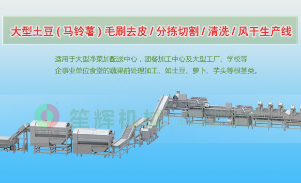 合浦连续式土豆去皮清洗切割风干生产线